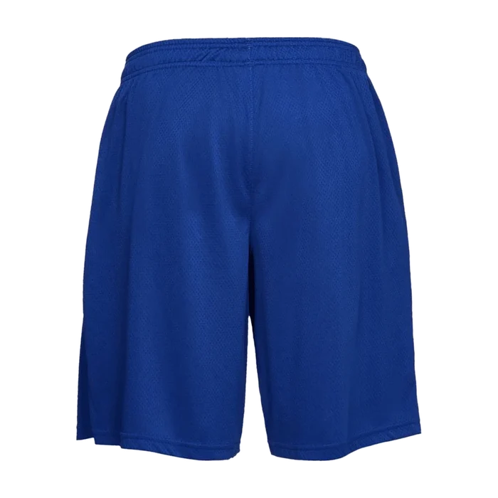 UA Men's Tech Mesh Shorts Blue Color
