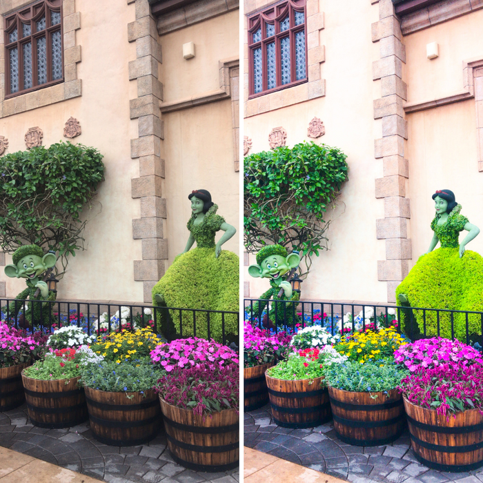Vibrant Bright Mobile Lightroom Preset Pack - 4 Presets