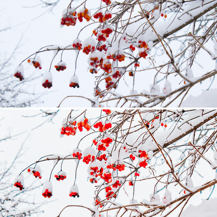 Winter Warm Snowy Mobile Lightroom Presets Pack - 4 Presets